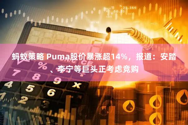 蚂蚁策略 Puma股价暴涨超14%，报道：安踏、李宁等巨头正考虑竞购