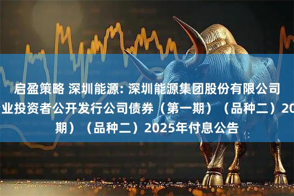 启盈策略 深圳能源: 深圳能源集团股份有限公司2021年面向专业投资者公开发行公司债券（第一期）（品种二）2025年付息公告
