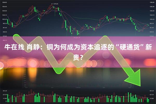 牛在线 肖静：铜为何成为资本追逐的“硬通货”新贵？