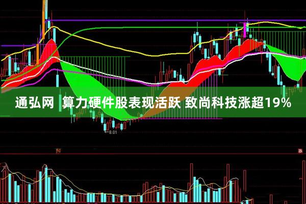 通弘网  算力硬件股表现活跃 致尚科技涨超19%