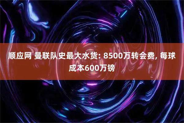 顺应网 曼联队史最大水货: 8500万转会费, 每球成本600万镑